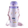 Insulated Stainless Steel Vacuum Bottle - 450ml