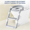 Step Up Ladder Potty Training Seat